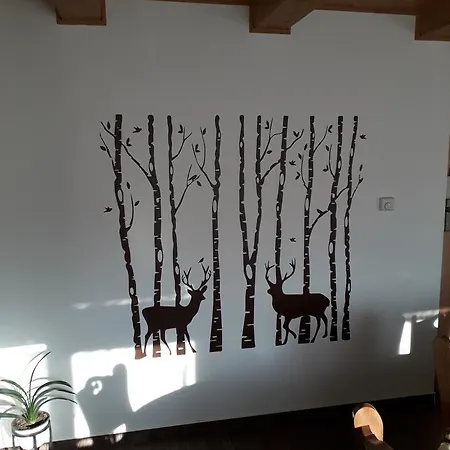 Gasthuis Szerencsecsillag Vendeghaz *